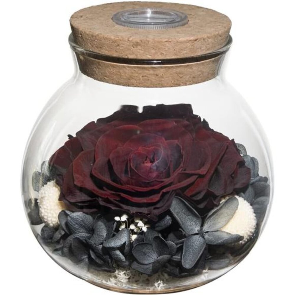 Preserved Real Roses with Colorful Mood Light Wishing Bottle,Eternal Rose